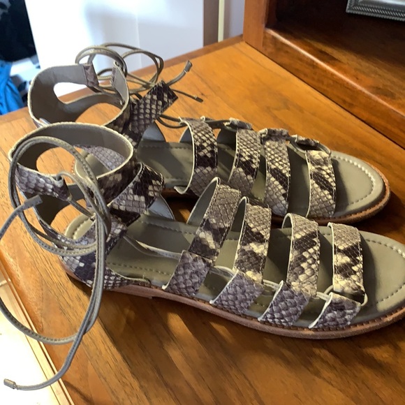 Frye Snakeskin Gladiator Sandals Size 9 - Picture 2 of 4